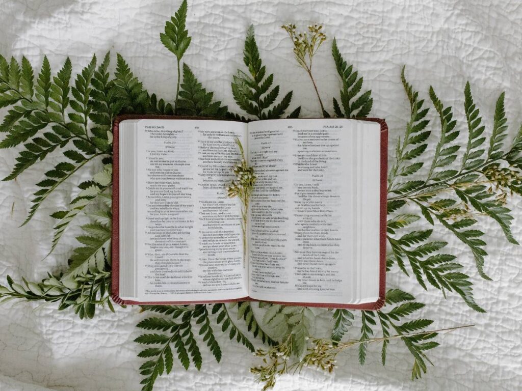 cytaty z Biblii